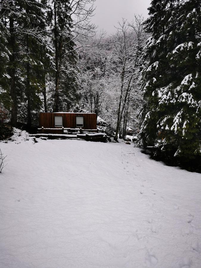 Skalca Villa คัมนิสกาบิสทริกา ภายนอก รูปภาพ