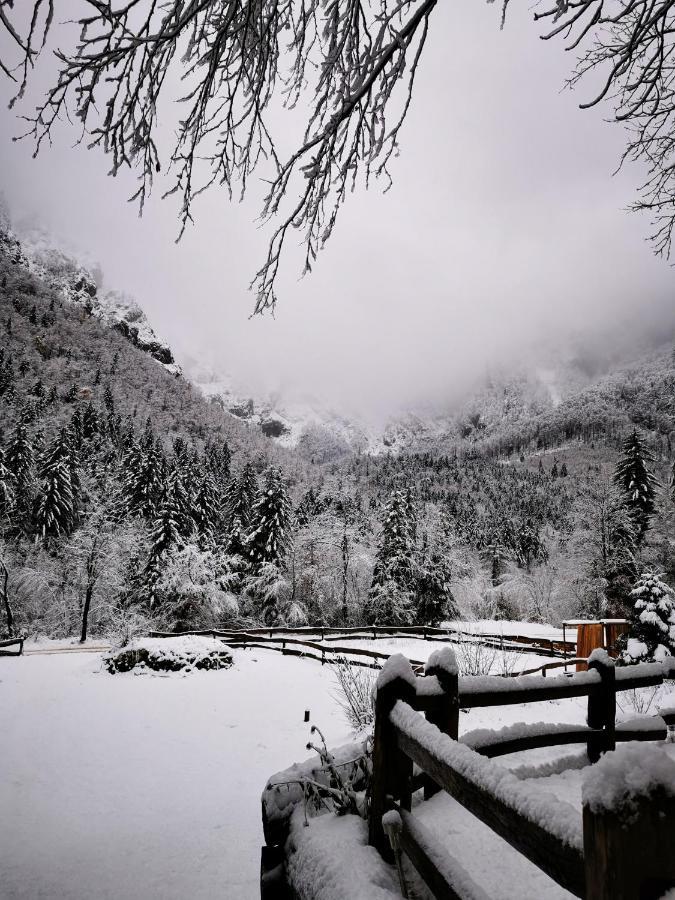 Skalca Villa คัมนิสกาบิสทริกา ภายนอก รูปภาพ